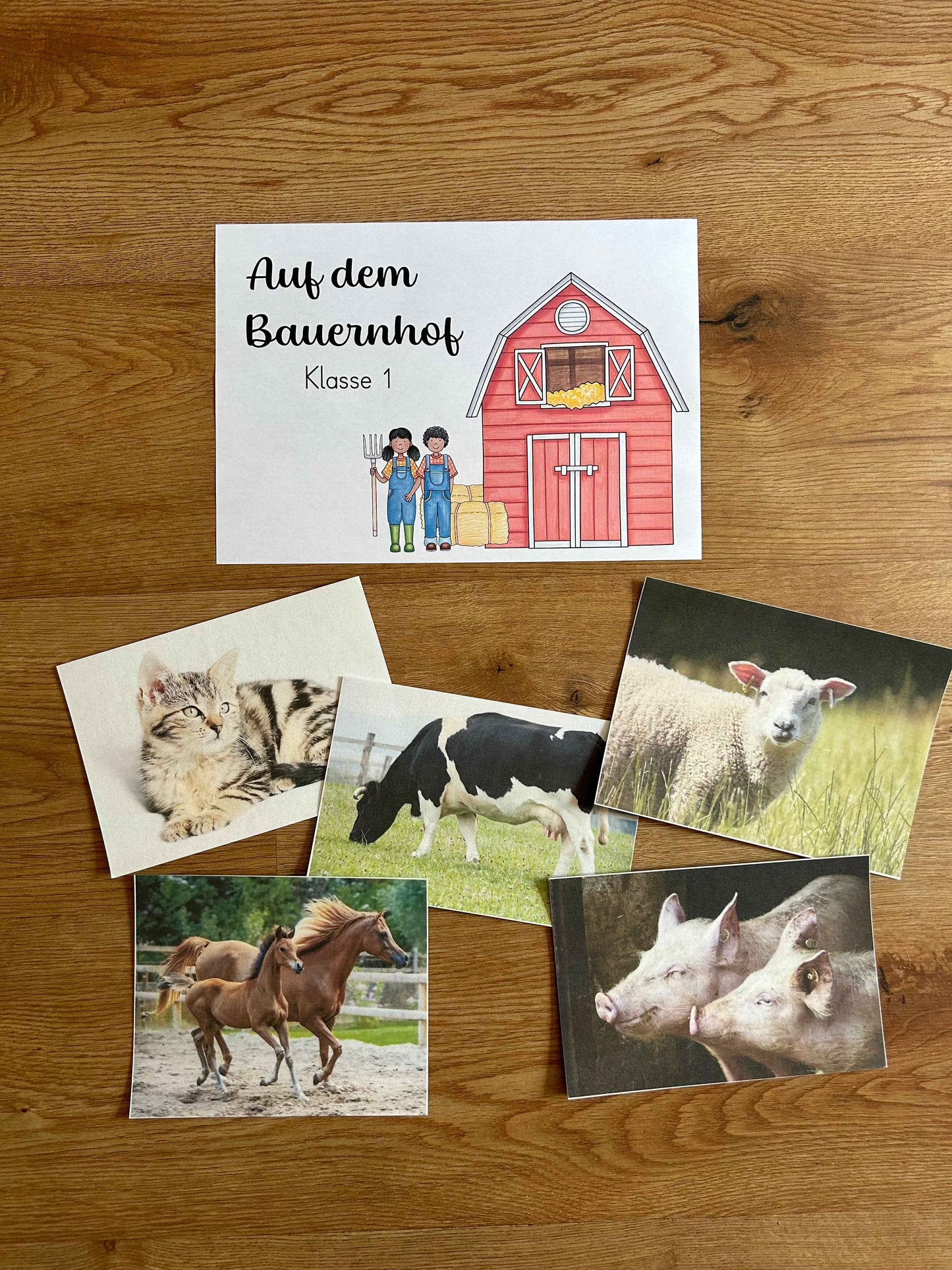 Einheit: Auf dem Bauernhof Kl.1