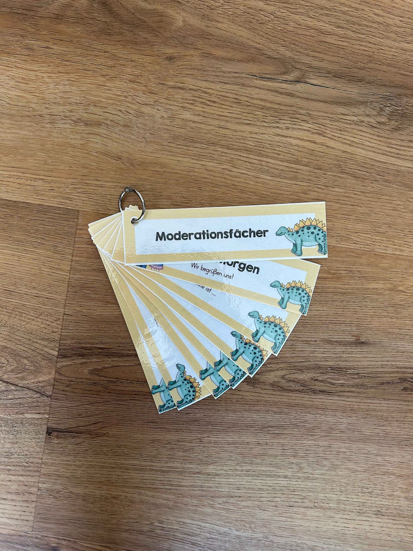 Moderationsfächer