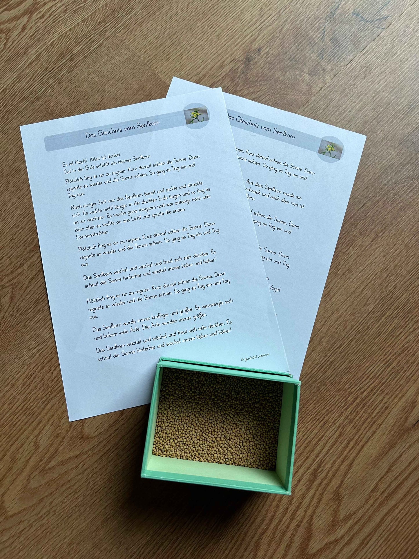 Reich Gottes: Gleichnis vom Senfkorn