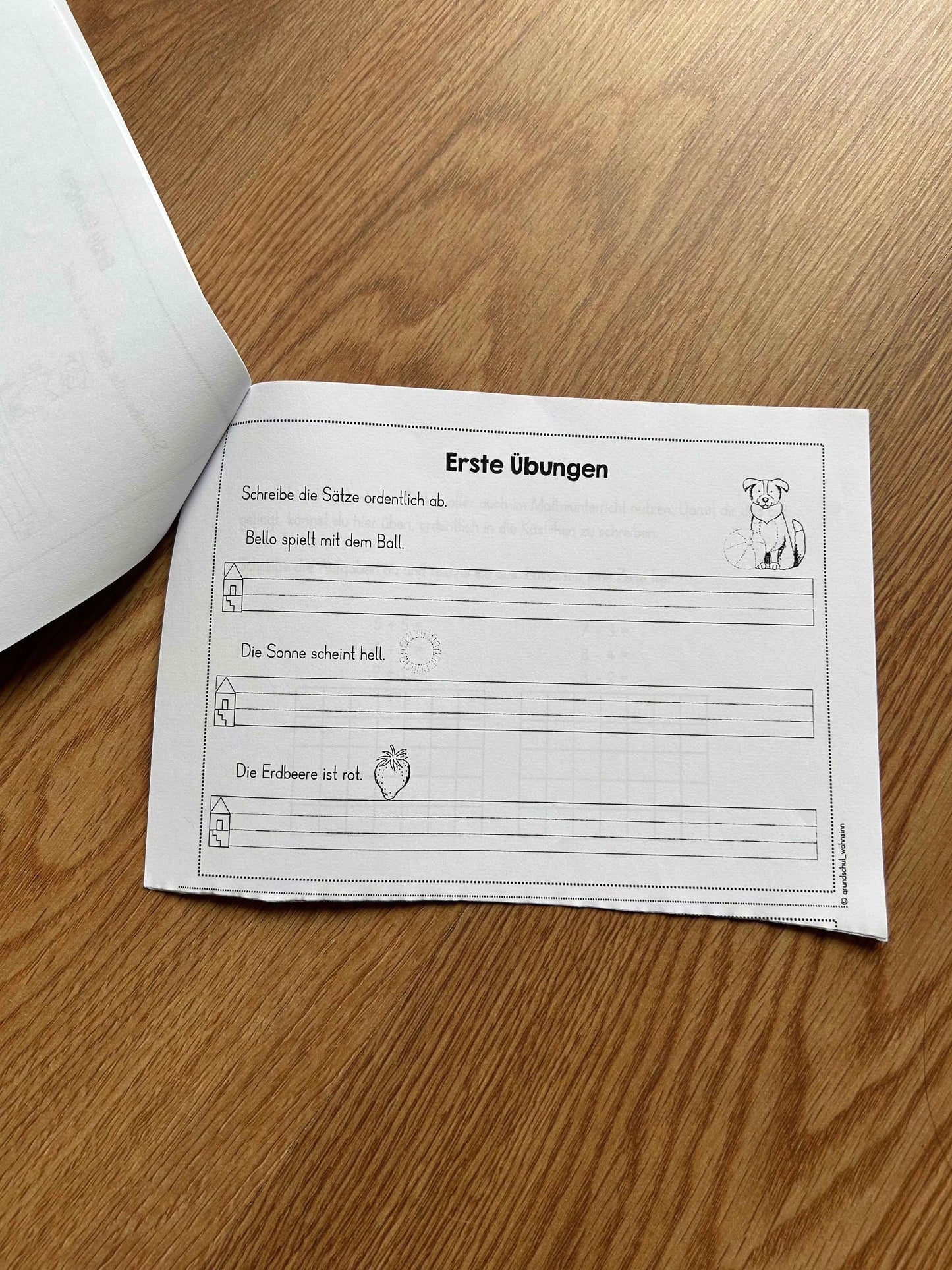 Tintenroller - Führerschein Kl.2