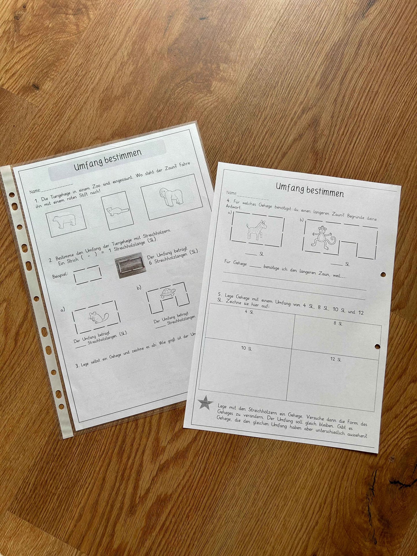 Einheit "Umfang und Umfangsbestimmung" - Kl.3/4