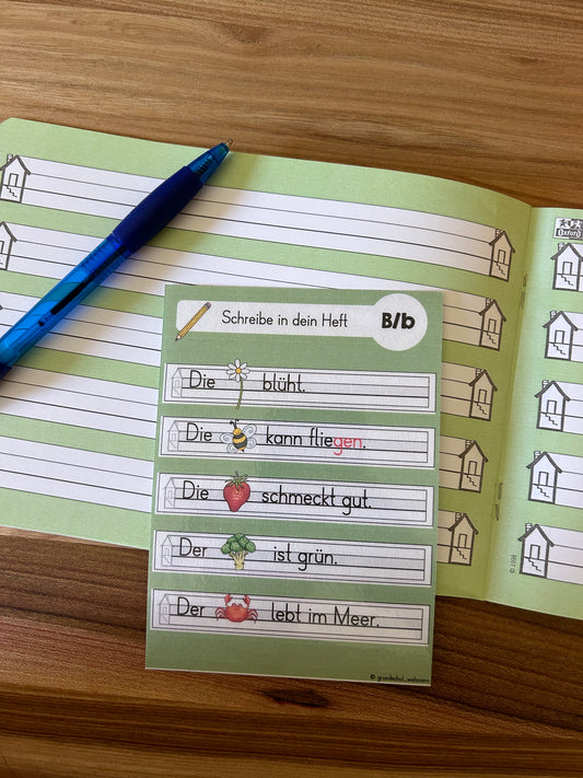 Abschreibkarten mit Bildern - Sätze aus dem Kopf schreiben